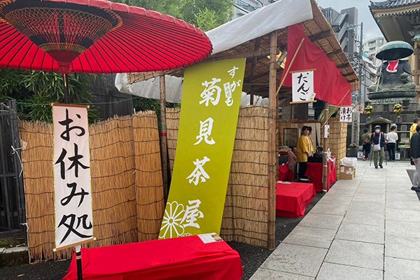 すがも中山道 菊まつり 菊見茶屋